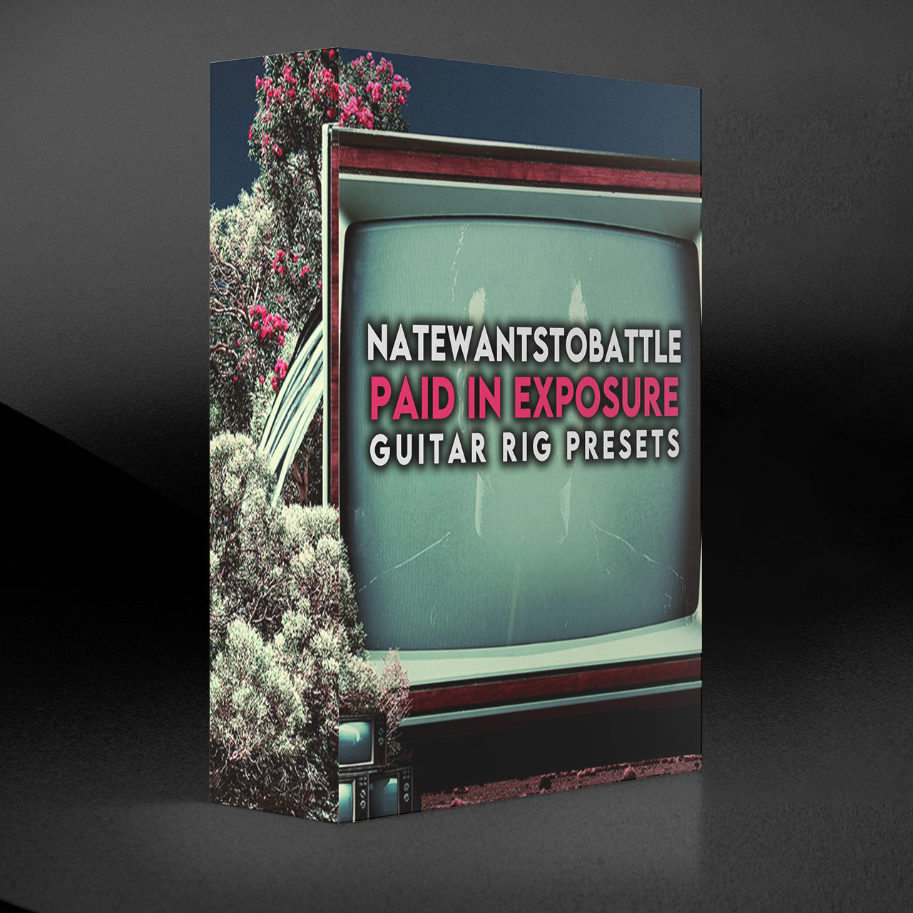 Paid In Exposure Guitar Rig Tones